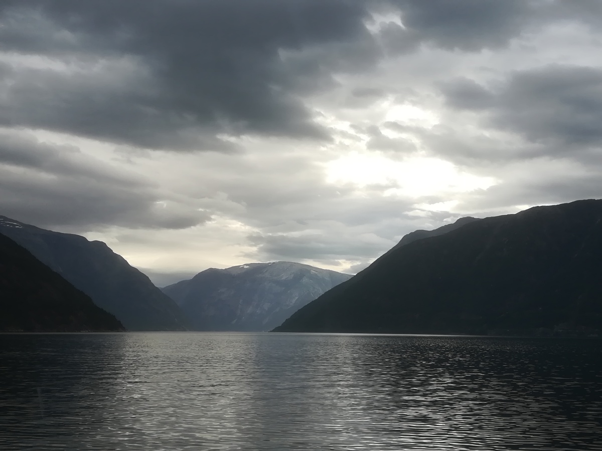 A cruise through the Hardangerfjord